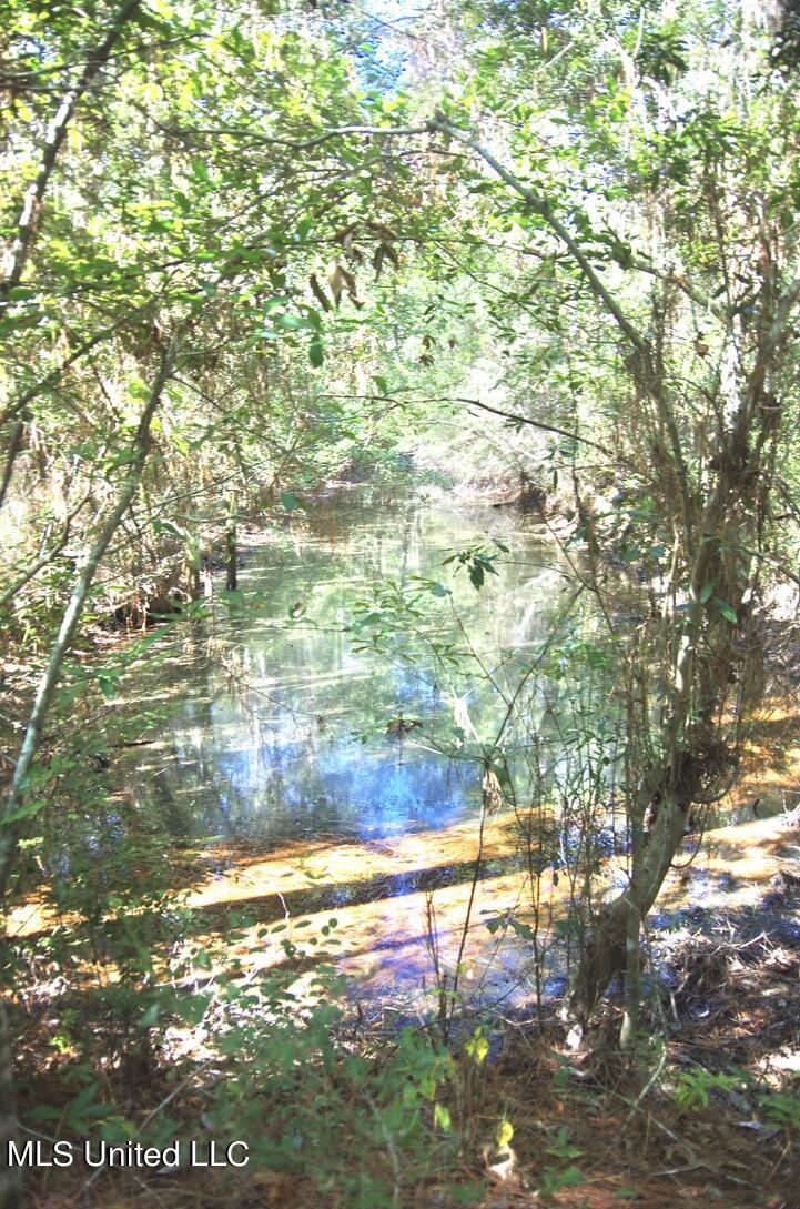 9630 West Oaklawn Road Biloxi, MS 39532 - Photo 34 of 57 Little Pond