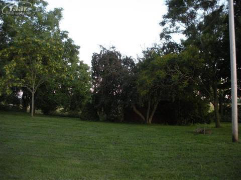 615 West Braden Road Perry, MI 48872 - Photo 10 of 14 20192420-9.JPG