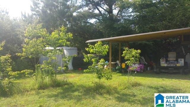 1015 Hamilton Road Pell City, AL 35128 - Photo 35 of 37