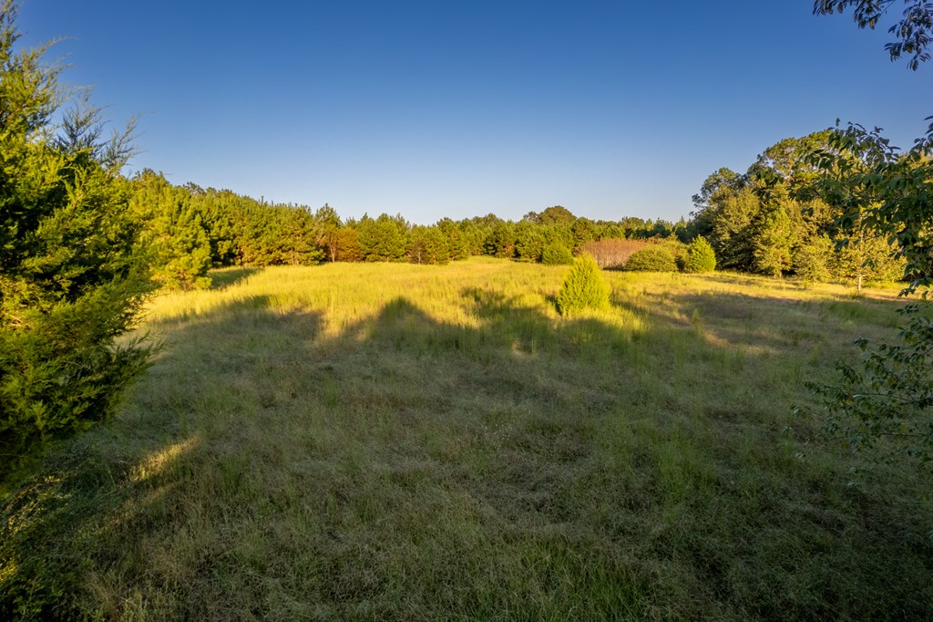 2226 Randall Wade Road Headland, AL 36345 - Photo 12 of 60