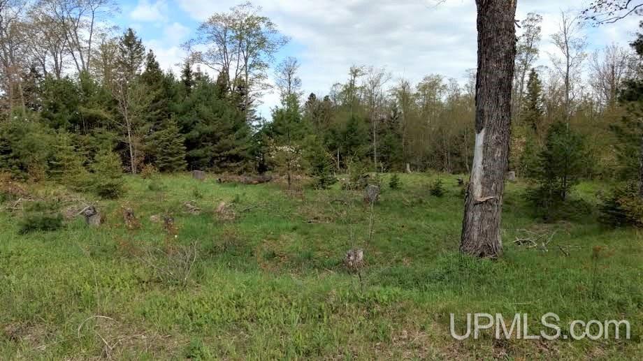 Tbd Boundary Road Chassell, MI 49931 - Photo 1 of 15