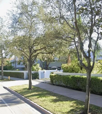 a view of a yard with large trees