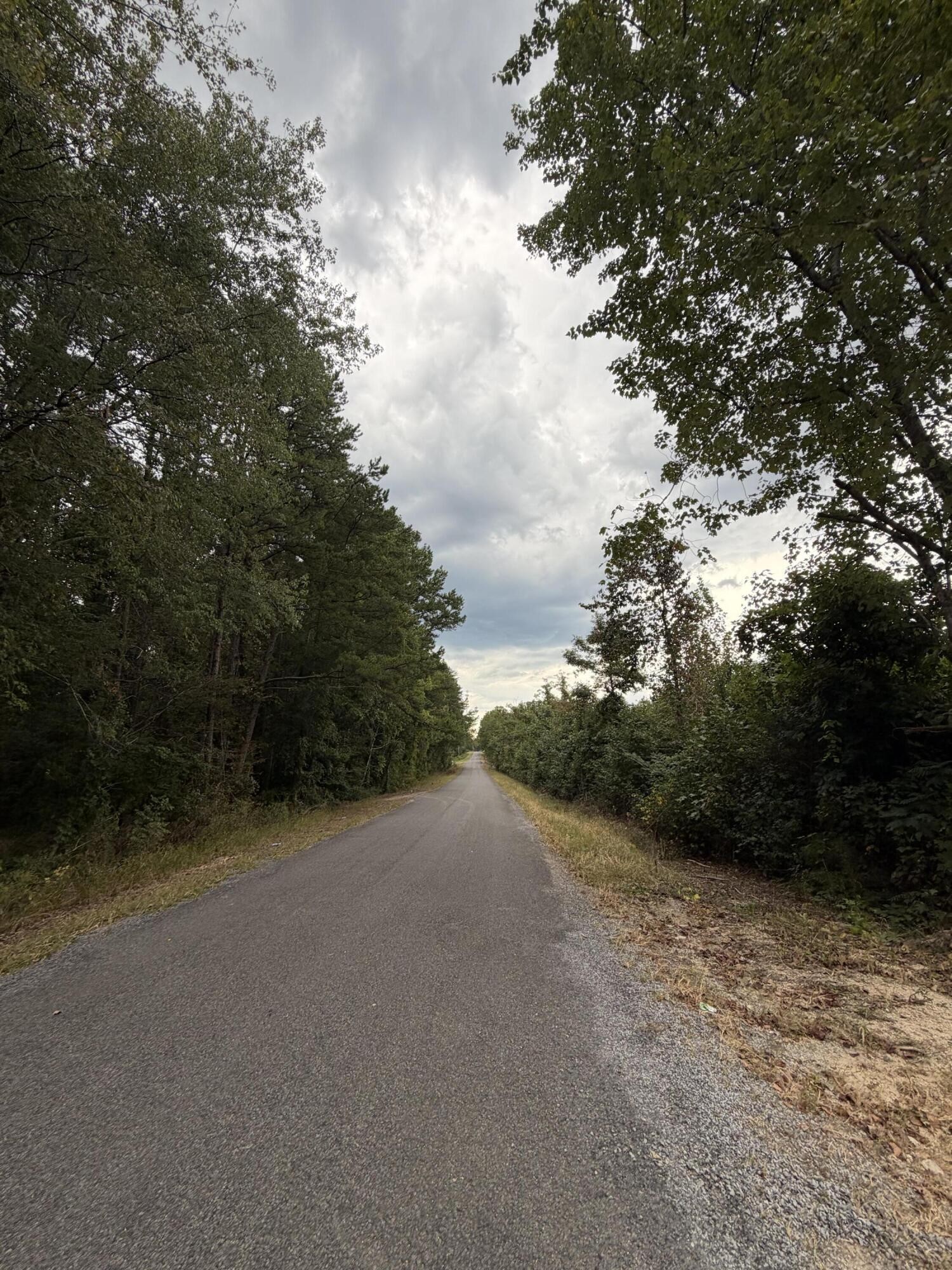 1 Bethel Road Valley Head, AL 35989 - Photo 9 of 9 Gallery Image 9