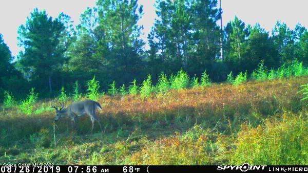 D D Johnson Mims, FL 32754 - Photo 17 of 25 IMG_4358