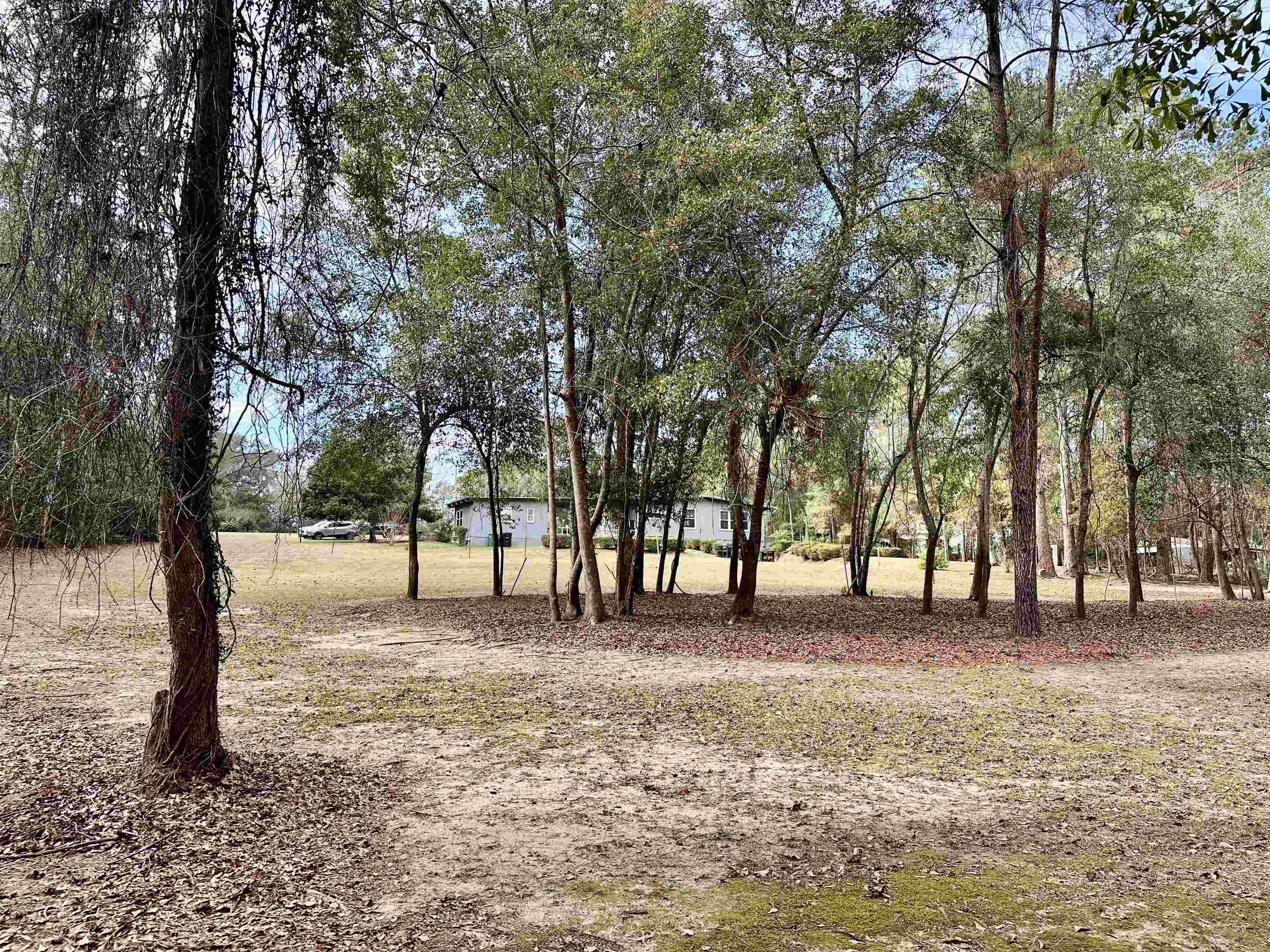 3536 Cangrove Road Tallahassee, FL 32303 - Photo 6 of 38