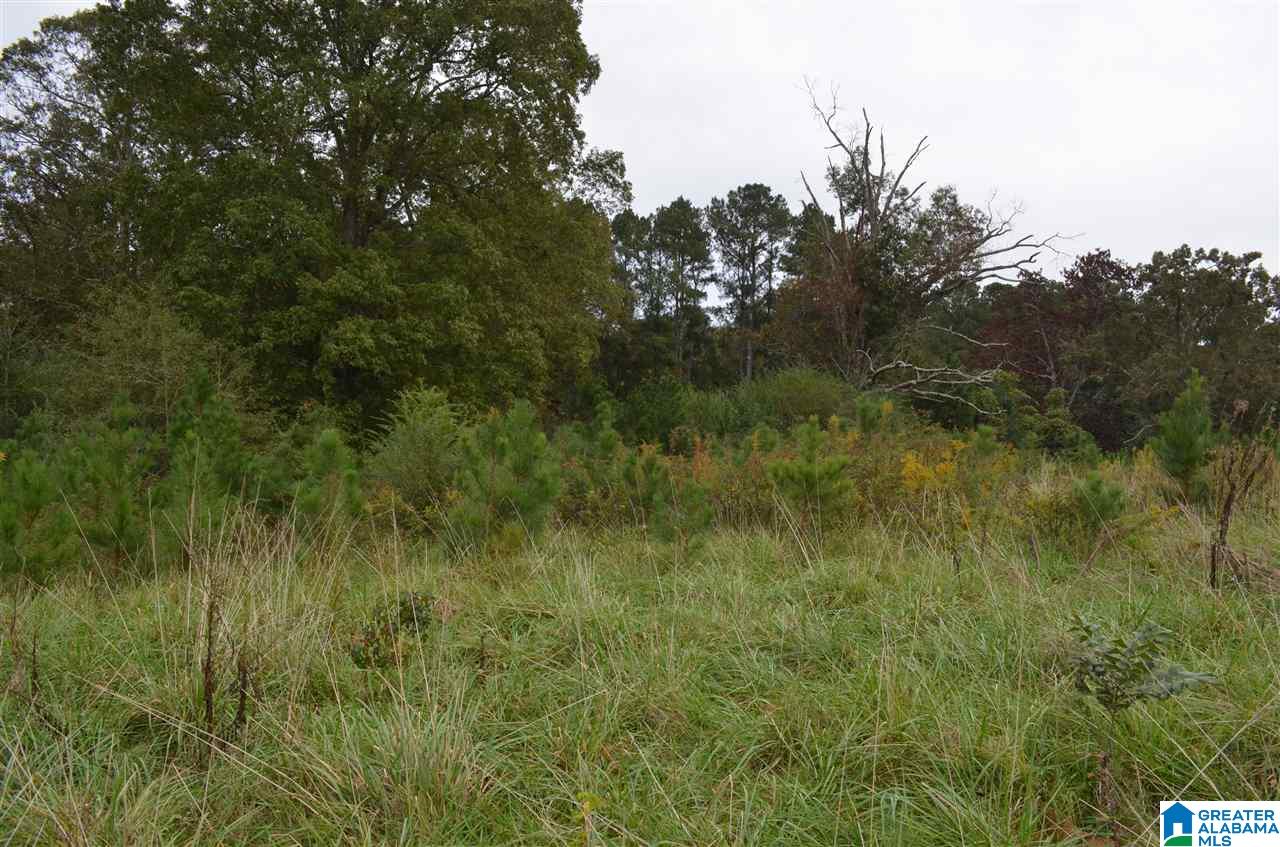 3370 Smith Mill Road Trafford, AL 35172 - Photo 15 of 15 Gallery Image 15