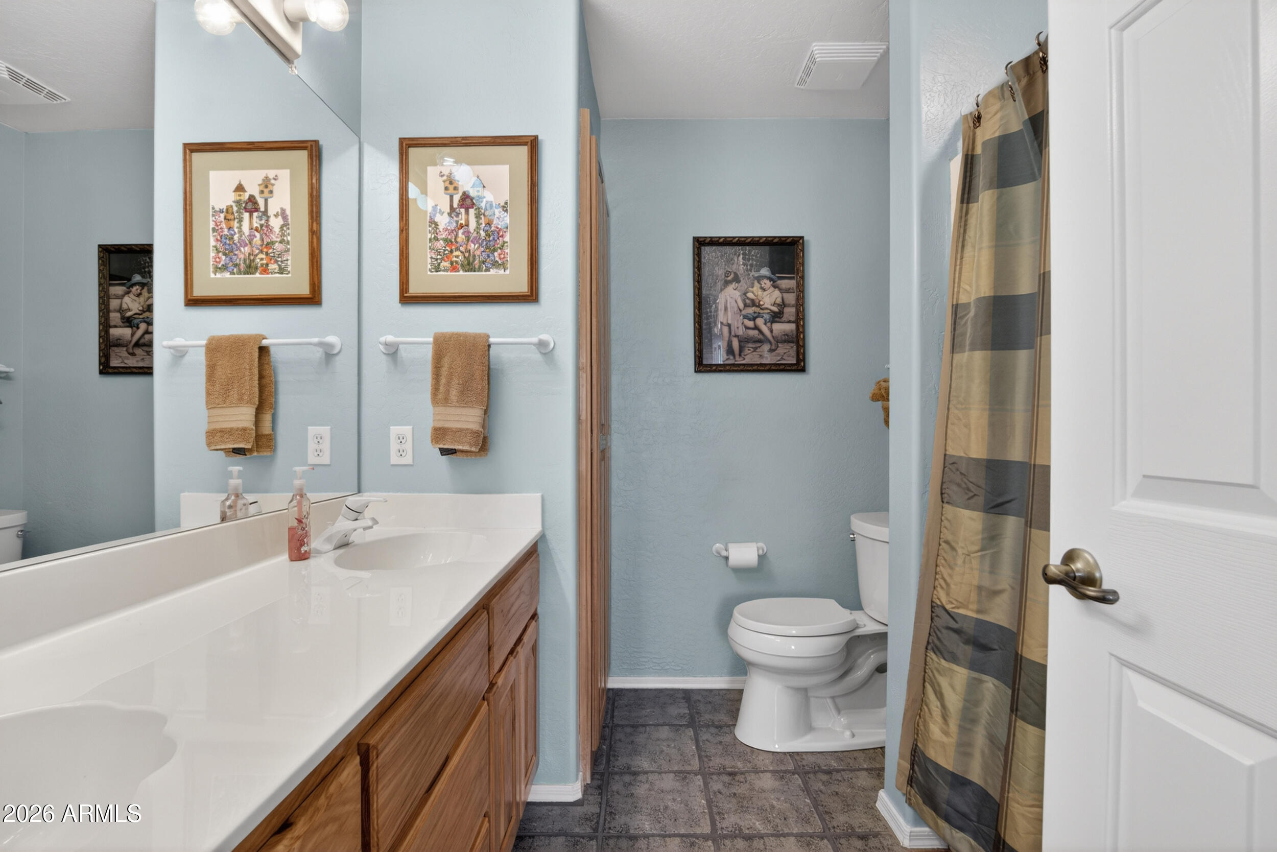 6832 North Citrus Road Waddell, AZ 85355 - Photo 32 of 56 Hall Bath 2