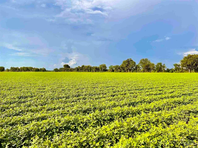 a view of an ocean and beach