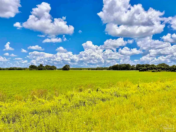 $209,900 | 3500 Hwy 182 Jay, Unit 7414 WENDT FARM RD(NEXT TO 7410 WENDT RD) PARCEL B, Jay, FL 32565