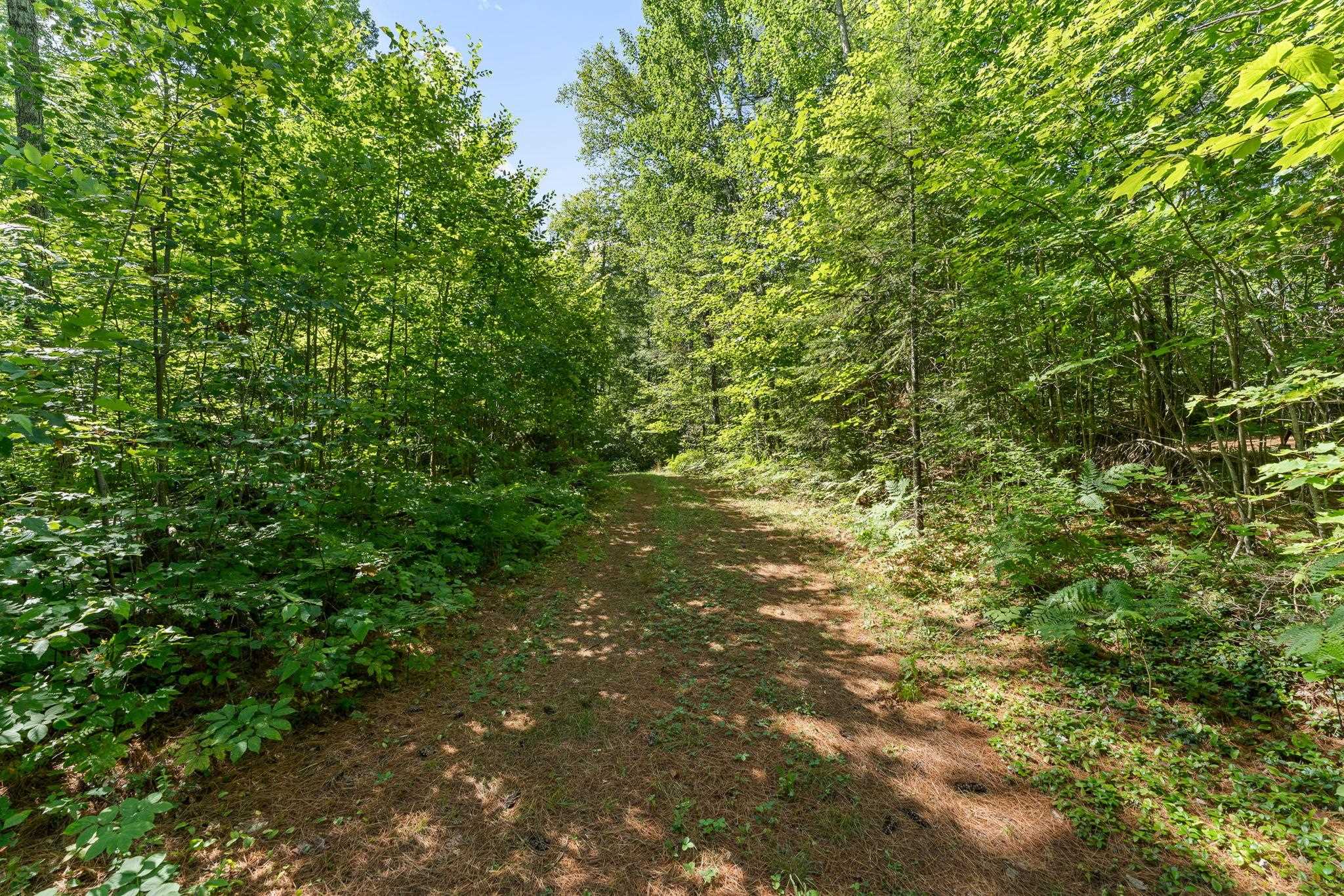 0 Hoot And Holler Road Groton, VT 05046 - Photo 15 of 18 Gallery Image 15