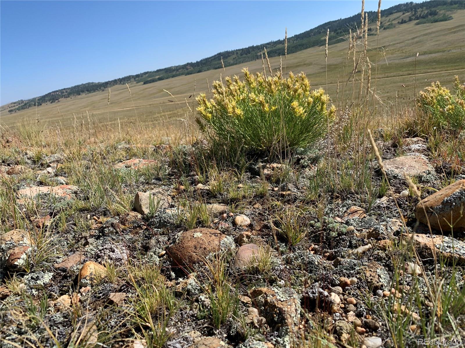 469 Link Road Como, CO 80432 - Photo 21 of 30 a view of a garden