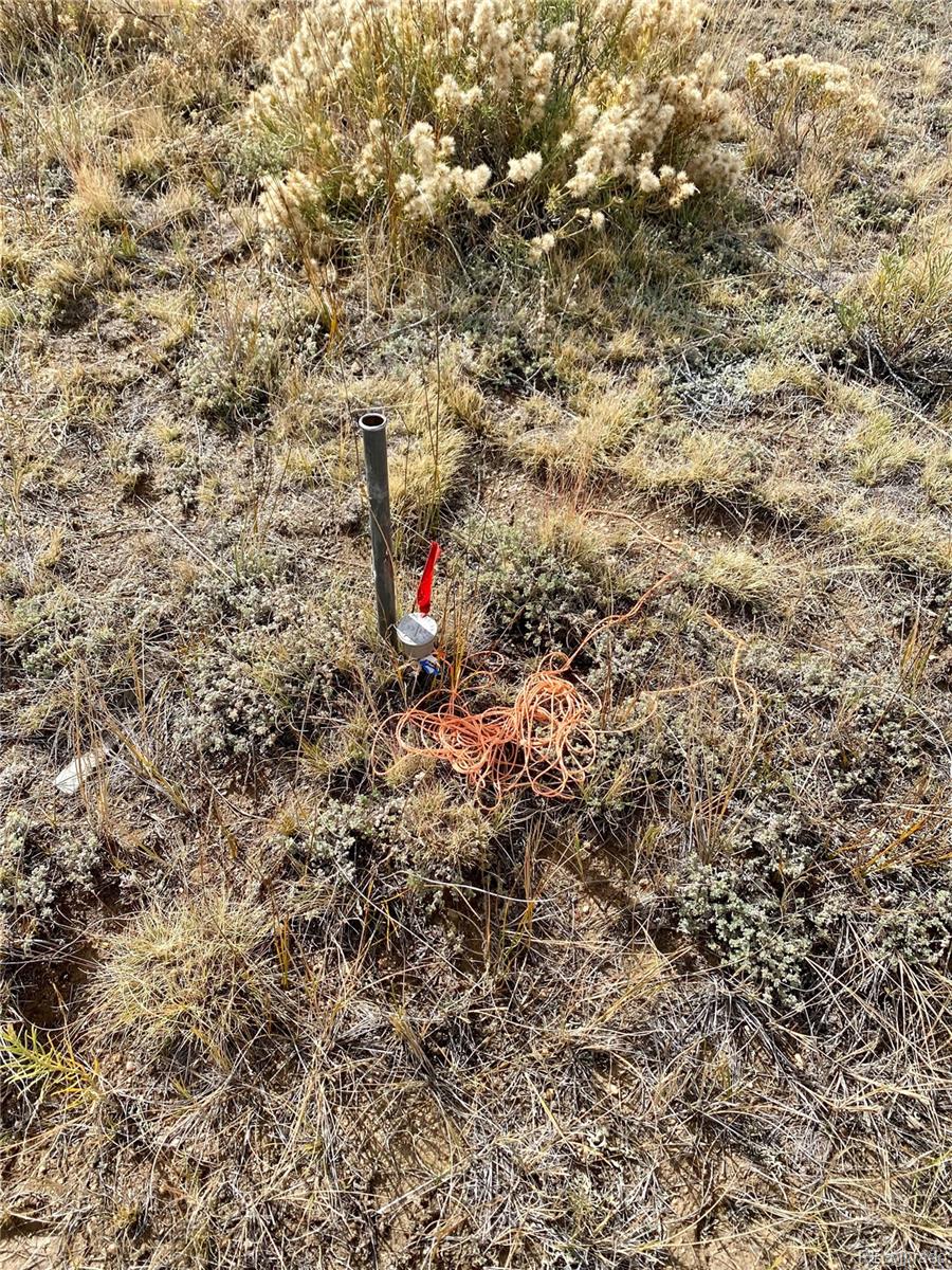 469 Link Road Como, CO 80432 - Photo 4 of 30 a close up of a tree