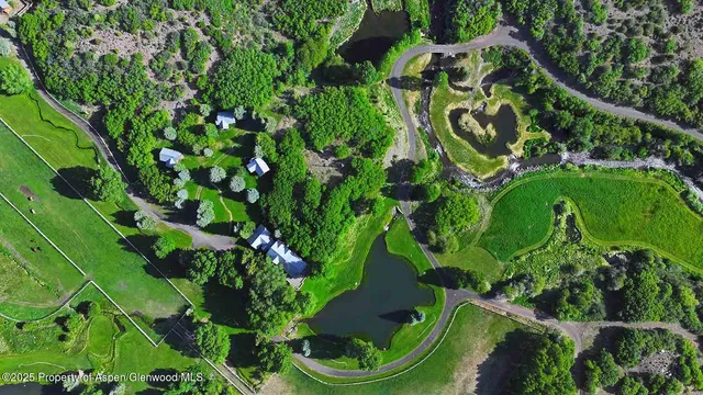 a view of a garden with a tree