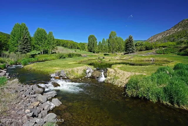 a view of a house with backyard and a tree