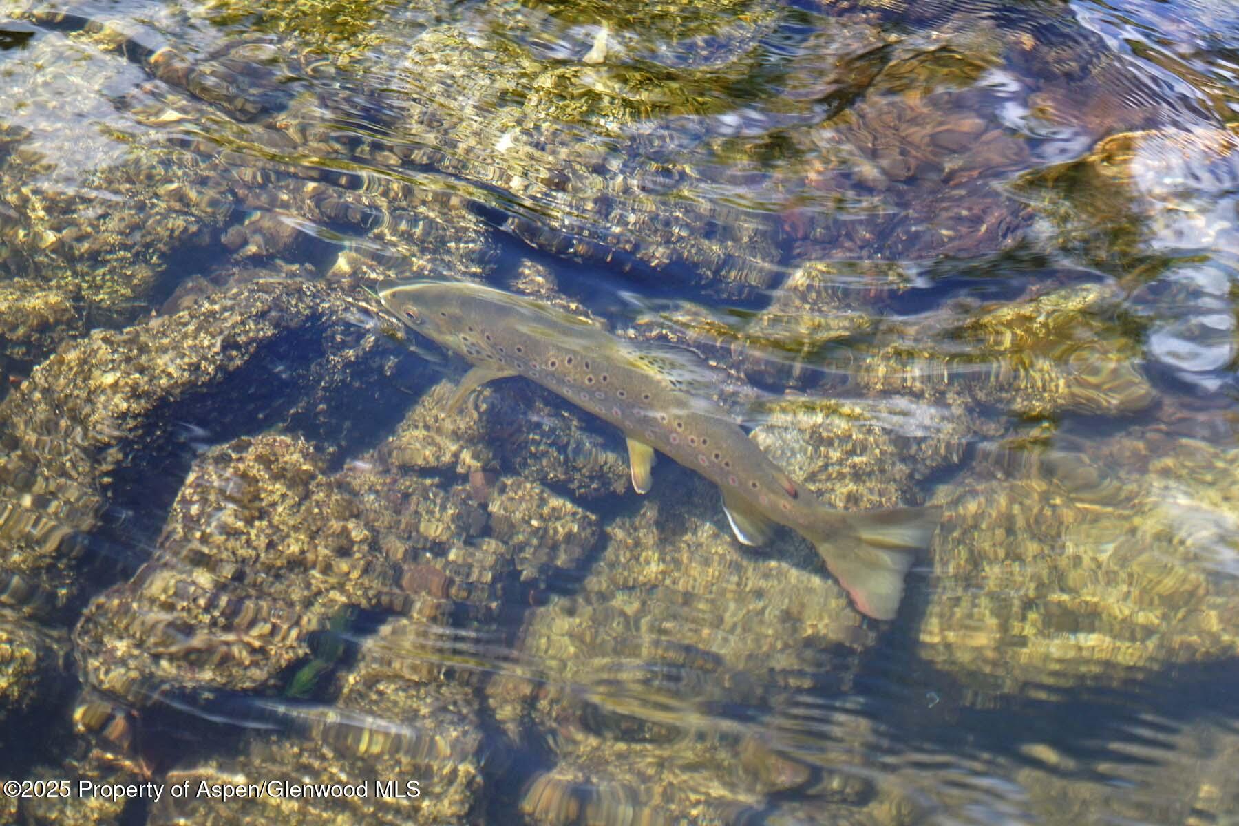 2650 Sweetwater Road Gypsum, CO 81637 - Photo 27 of 87