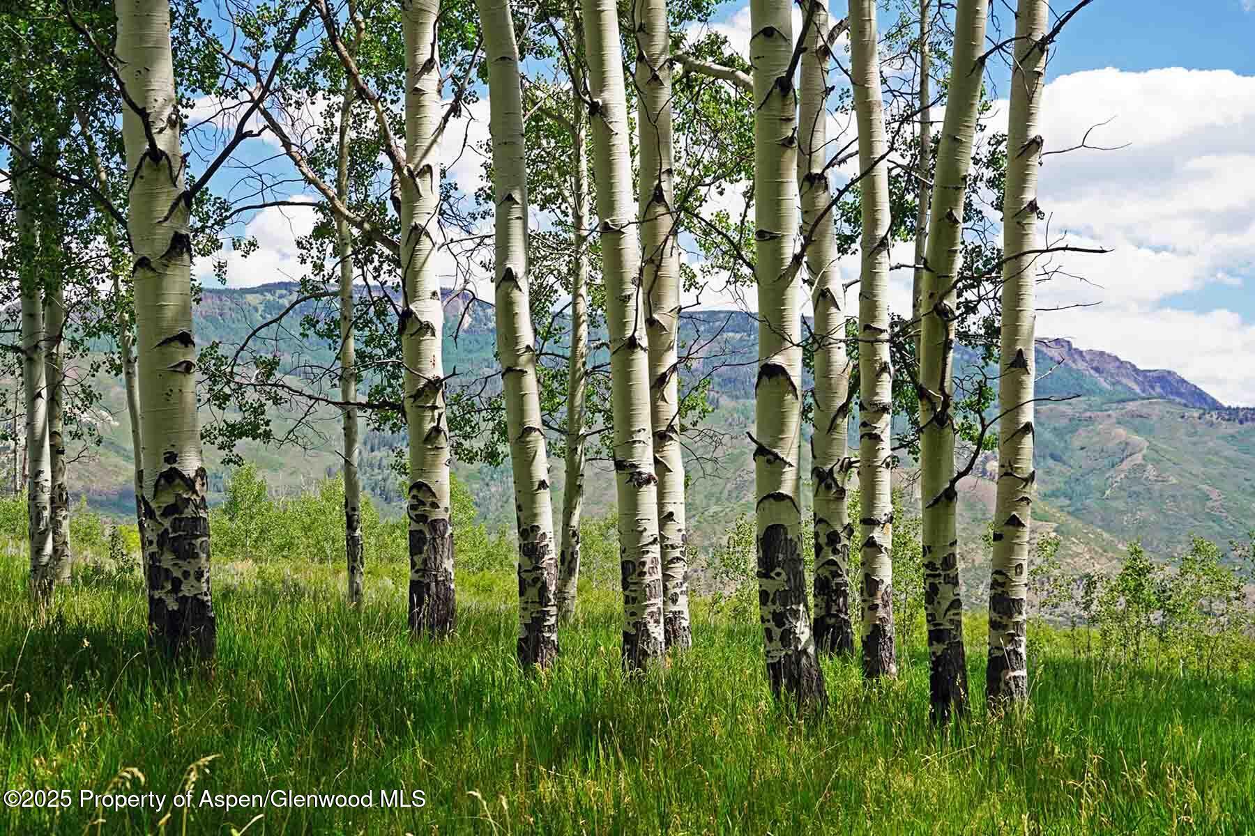 2650 Sweetwater Road Gypsum, CO 81637 - Photo 28 of 87 028-ranch-sweetwater