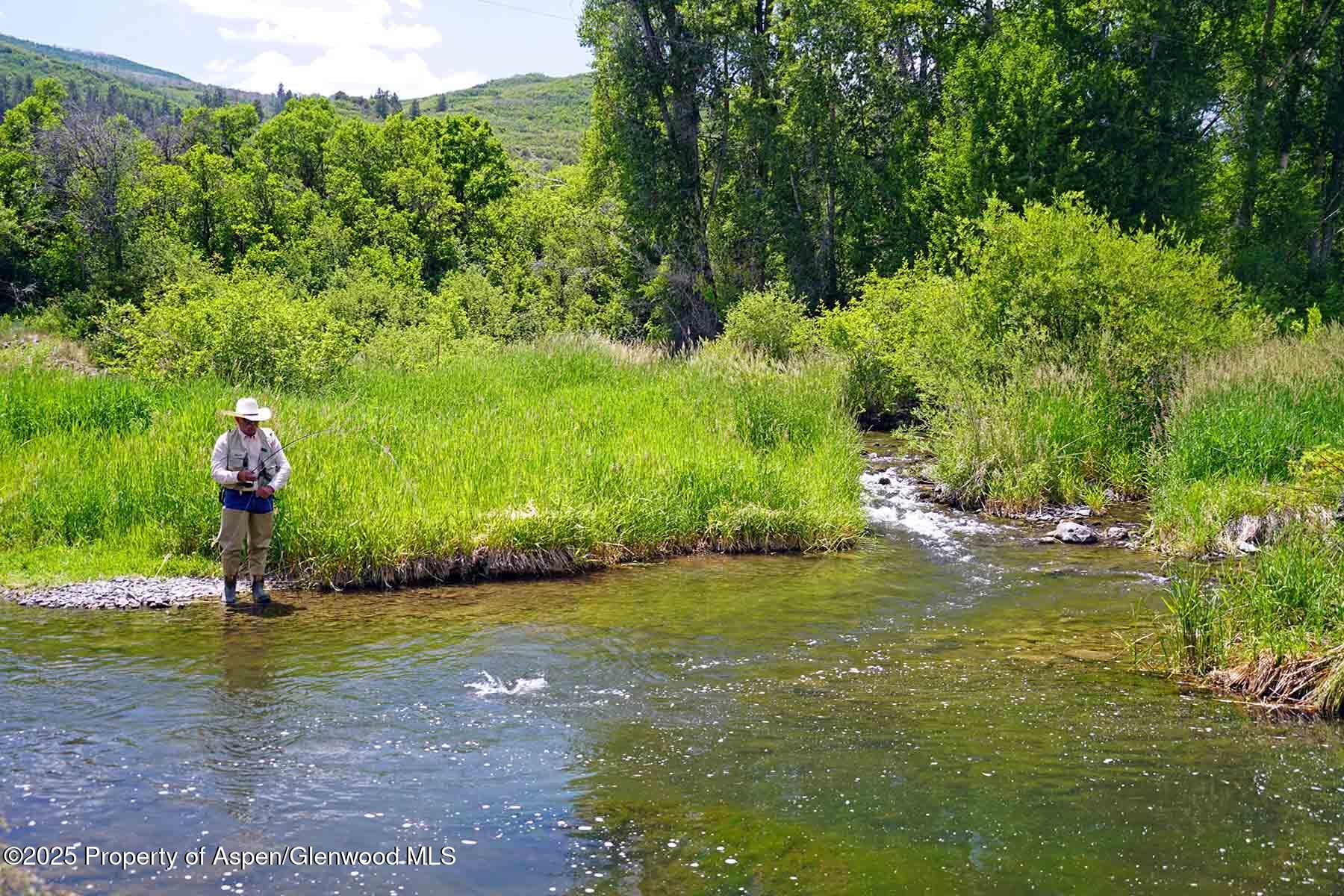 2650 Sweetwater Road Gypsum, CO 81637 - Photo 31 of 87 a view of a garden with a tree