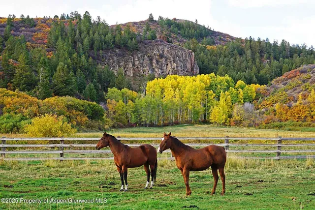 a green field with lots of trees in it