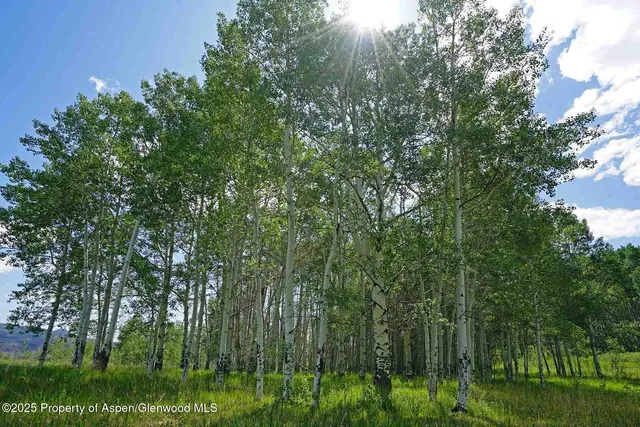 $17,500,000 | 2650 Sweetwater Road, Gypsum, CO 81637