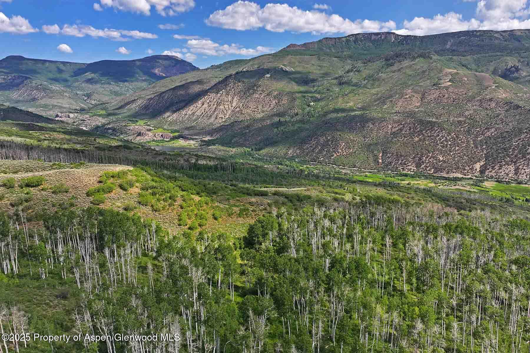2650 Sweetwater Road Gypsum, CO 81637 - Photo 71 of 87 a view of a forest with a lake