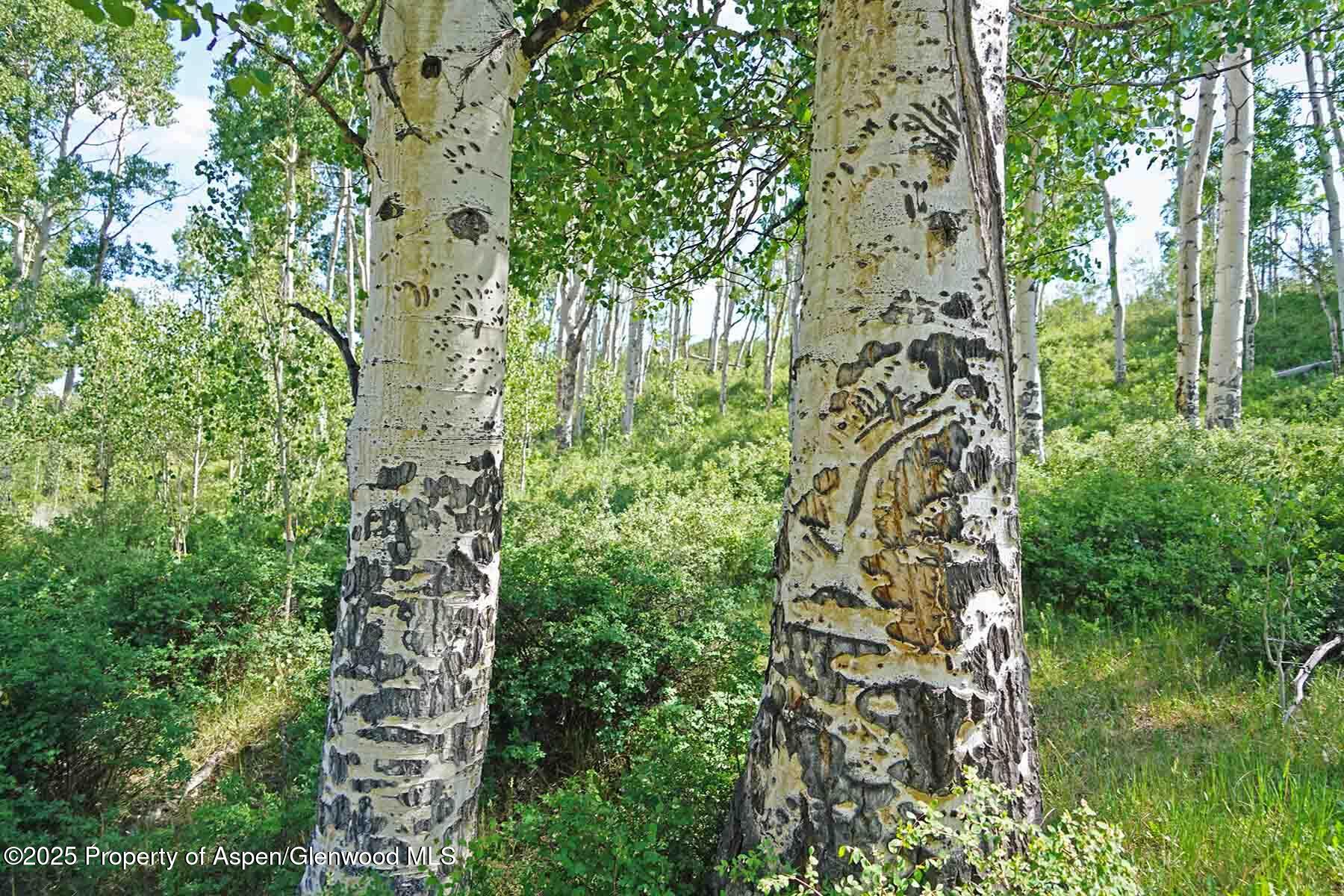 2650 Sweetwater Road Gypsum, CO 81637 - Photo 78 of 87 079-ranch-sweetwater