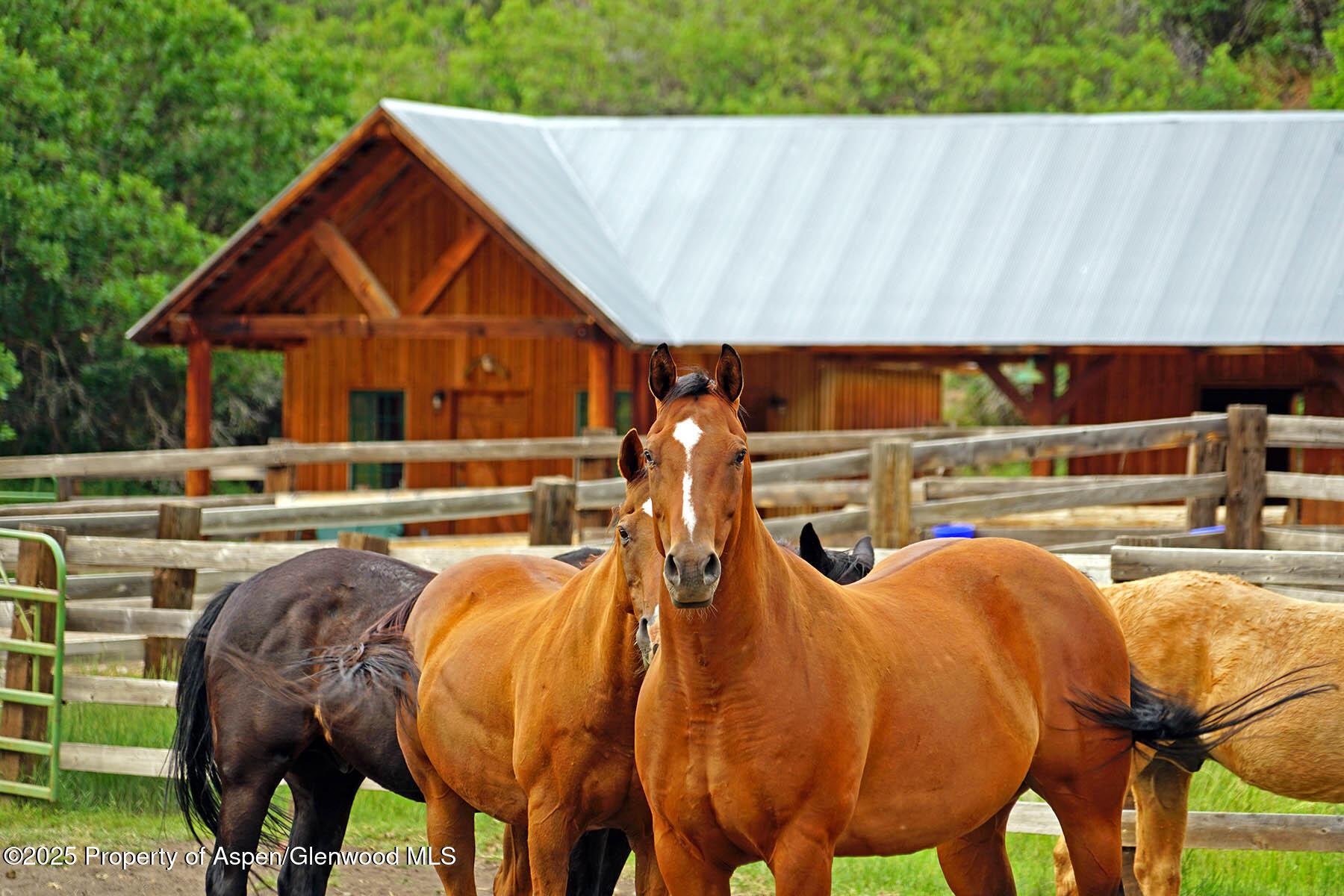 2650 Sweetwater Road Gypsum, CO 81637 - Photo 86 of 87 087-ranch-sweetwater