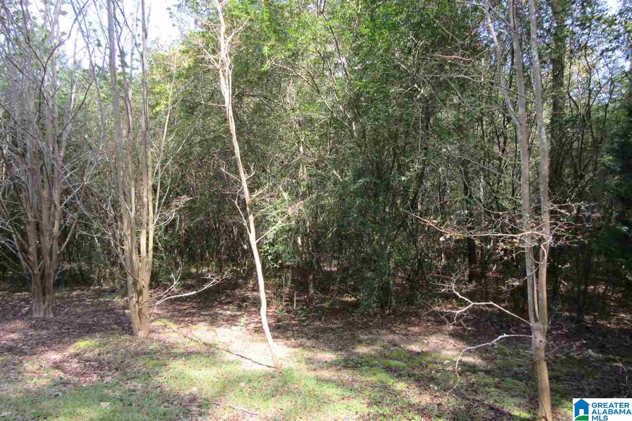 685 County Road 503 Verbena, AL 36091 - Photo 49 of 49