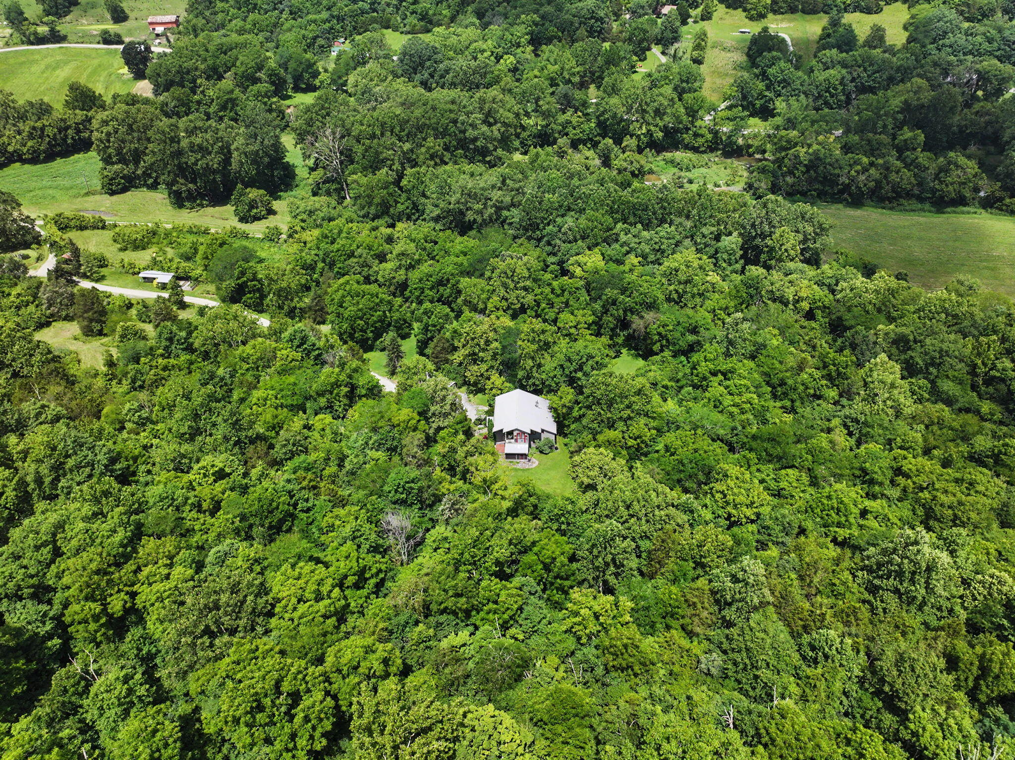 9766 Sullivan Road Union, KY 41091 - Photo 47 of 50 This property offers 22+ acres of possibility!