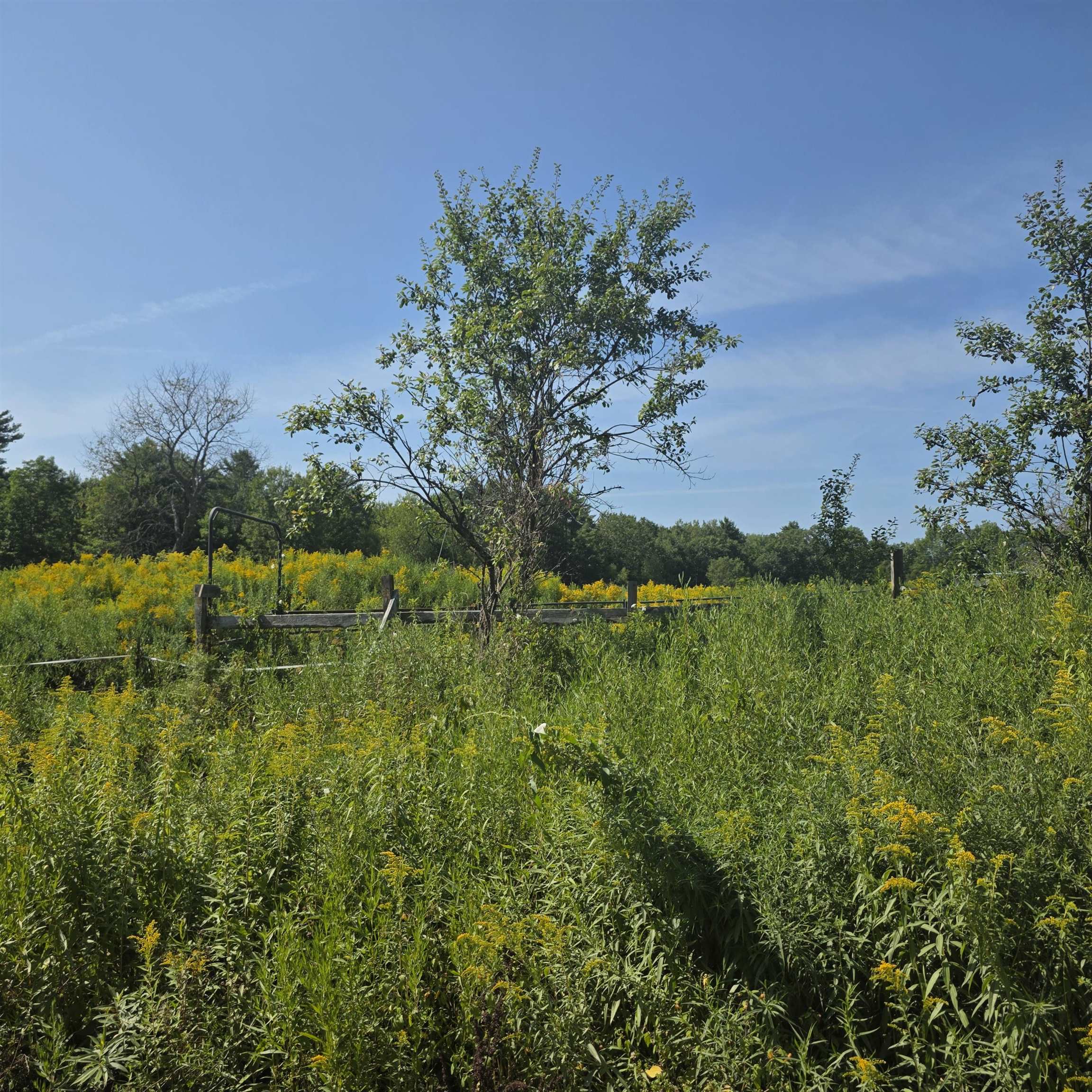 8 Skyline Road Newport, NH 03773 - Photo 3 of 60