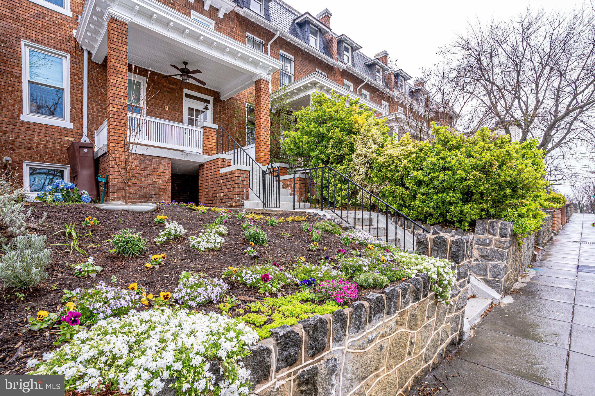 4215 7th Street Northwest Washington, DC 20011 - Photo 56 of 57 Home exterior with lush landscaping