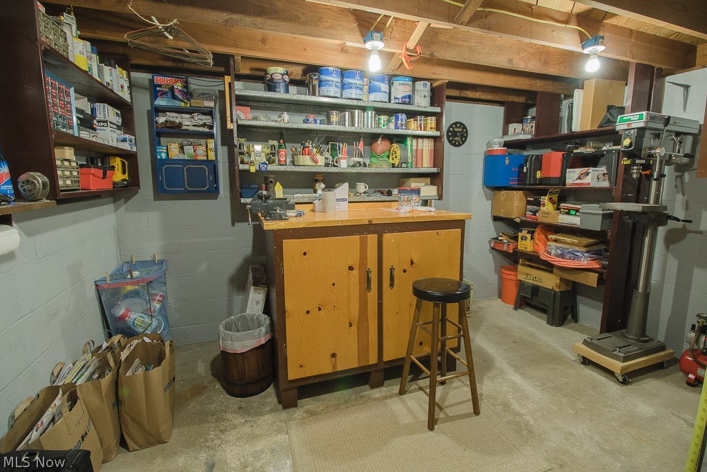 779 Edgewood Road Cleveland, OH 44143 - Photo 22 of 32 The Workshop can be utilized for a wine cellar, hobby room, or just additional storage.