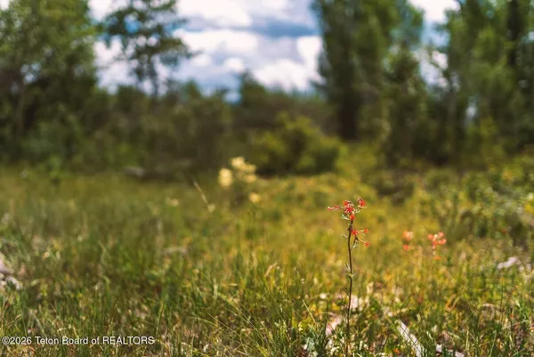 $189,000 | 976 Couloir Court, Driggs, ID 83422