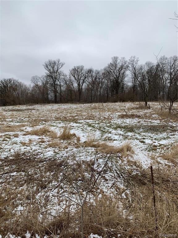 Vl South Kern Road, Unit 1 Fowlerville, MI 48836 - Photo 1 of 2