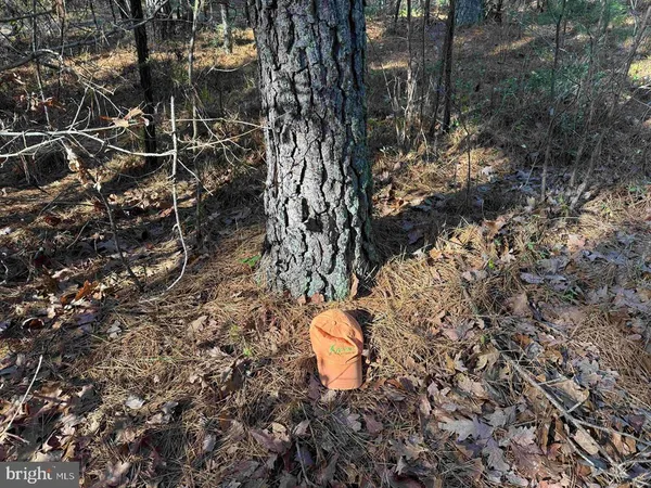 $721,000 | 2023 Diana Mill Road, Arvonia, VA 23004