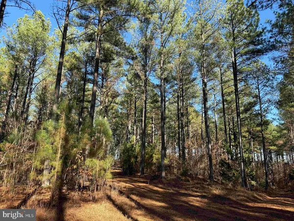 $721,000 | 2023 Diana Mill Road, Arvonia, VA 23004