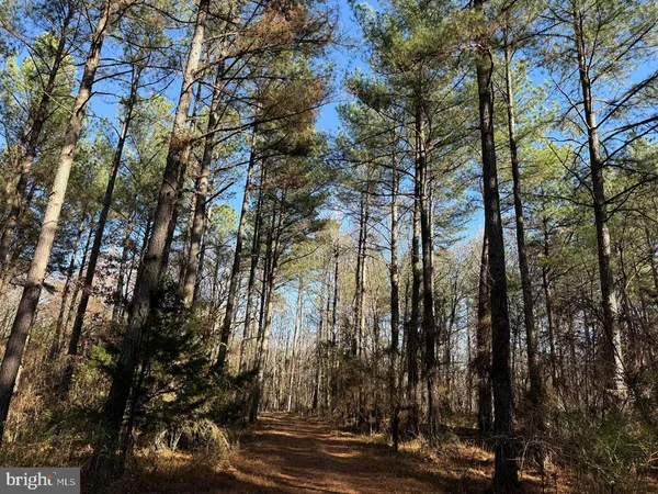 $721,000 | 2023 Diana Mill Road, Arvonia, VA 23004