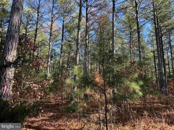 $721,000 | 2023 Diana Mill Road, Arvonia, VA 23004