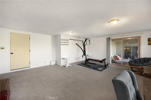 a close up of a plant