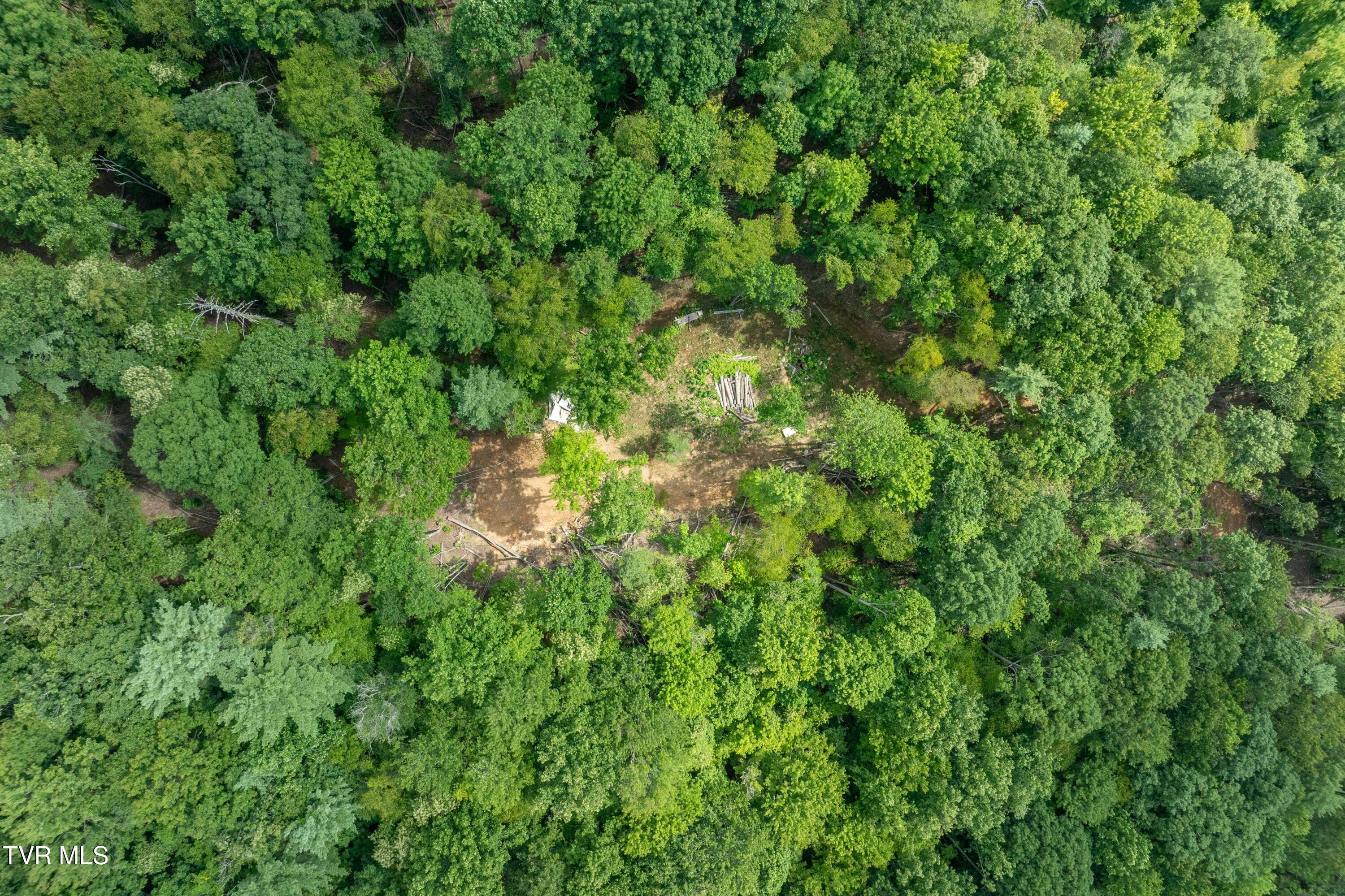 Tbd East Crackers Neck Road, Unit 6 Mountain City, TN 37683 - Photo 17 of 34 TBD Crackers Neck Road (17 of 34)