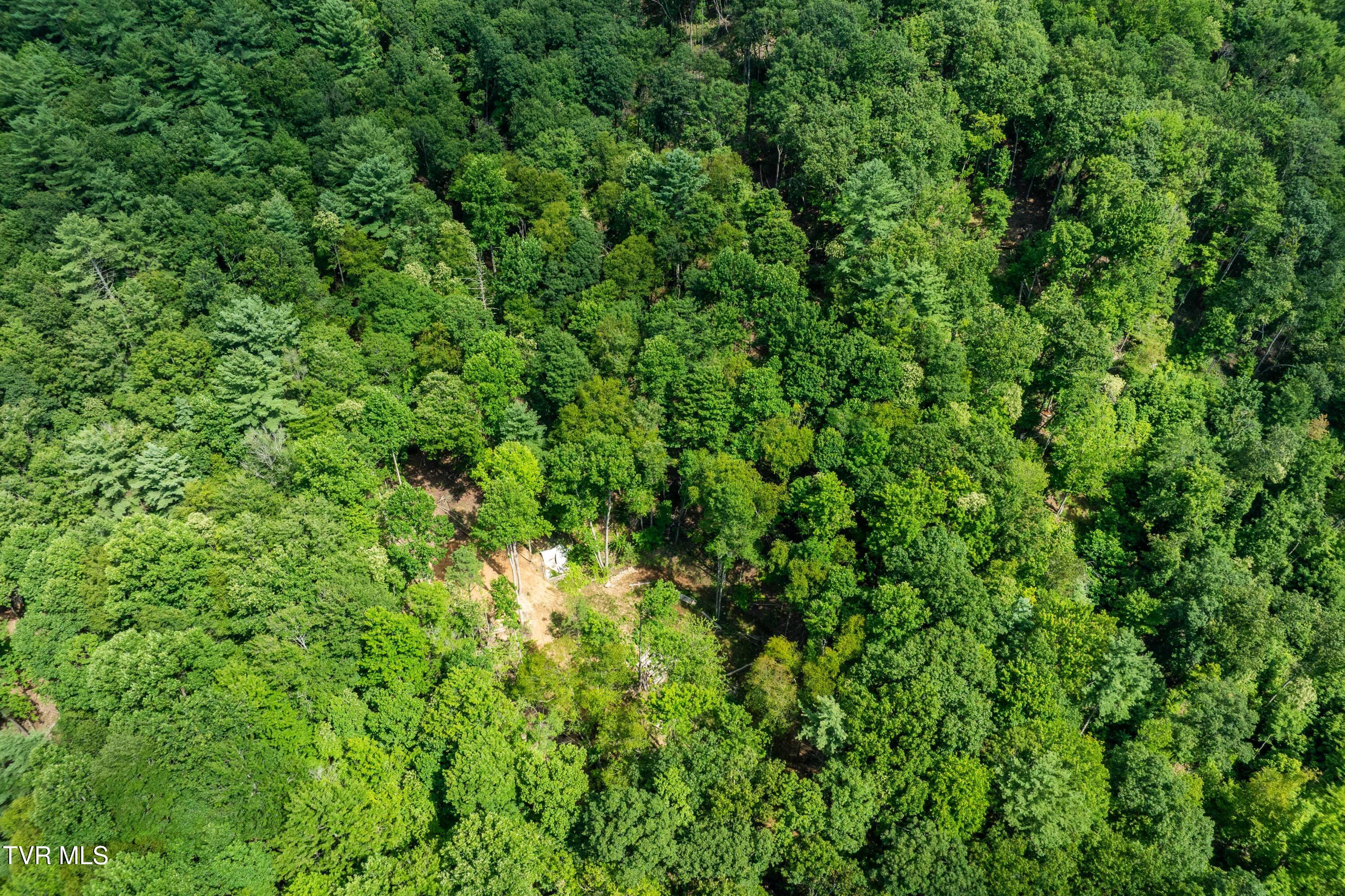 Tbd East Crackers Neck Road, Unit 6 Mountain City, TN 37683 - Photo 19 of 34 TBD Crackers Neck Road (19 of 34)