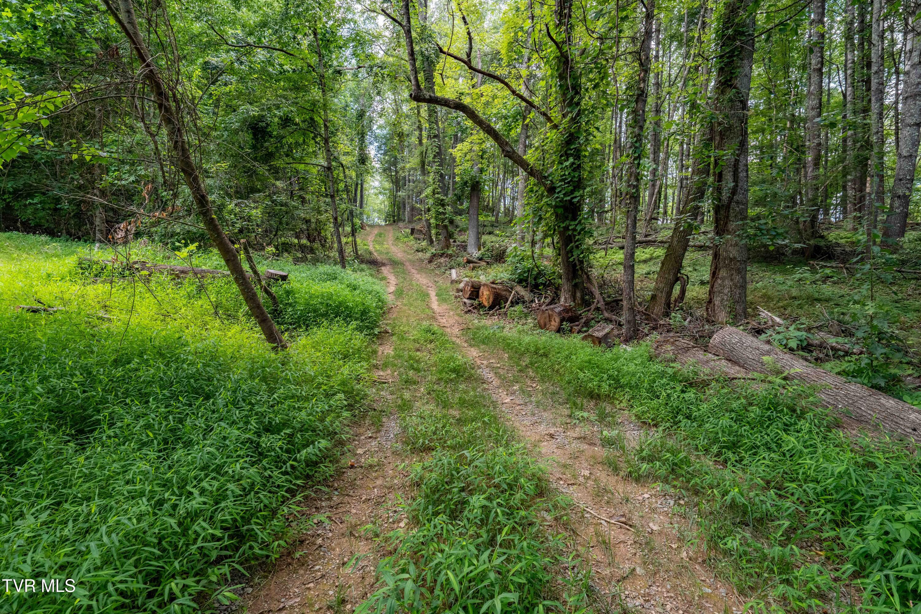 Tbd East Crackers Neck Road, Unit 6 Mountain City, TN 37683 - Photo 20 of 34 TBD Crackers Neck Road (20 of 34)