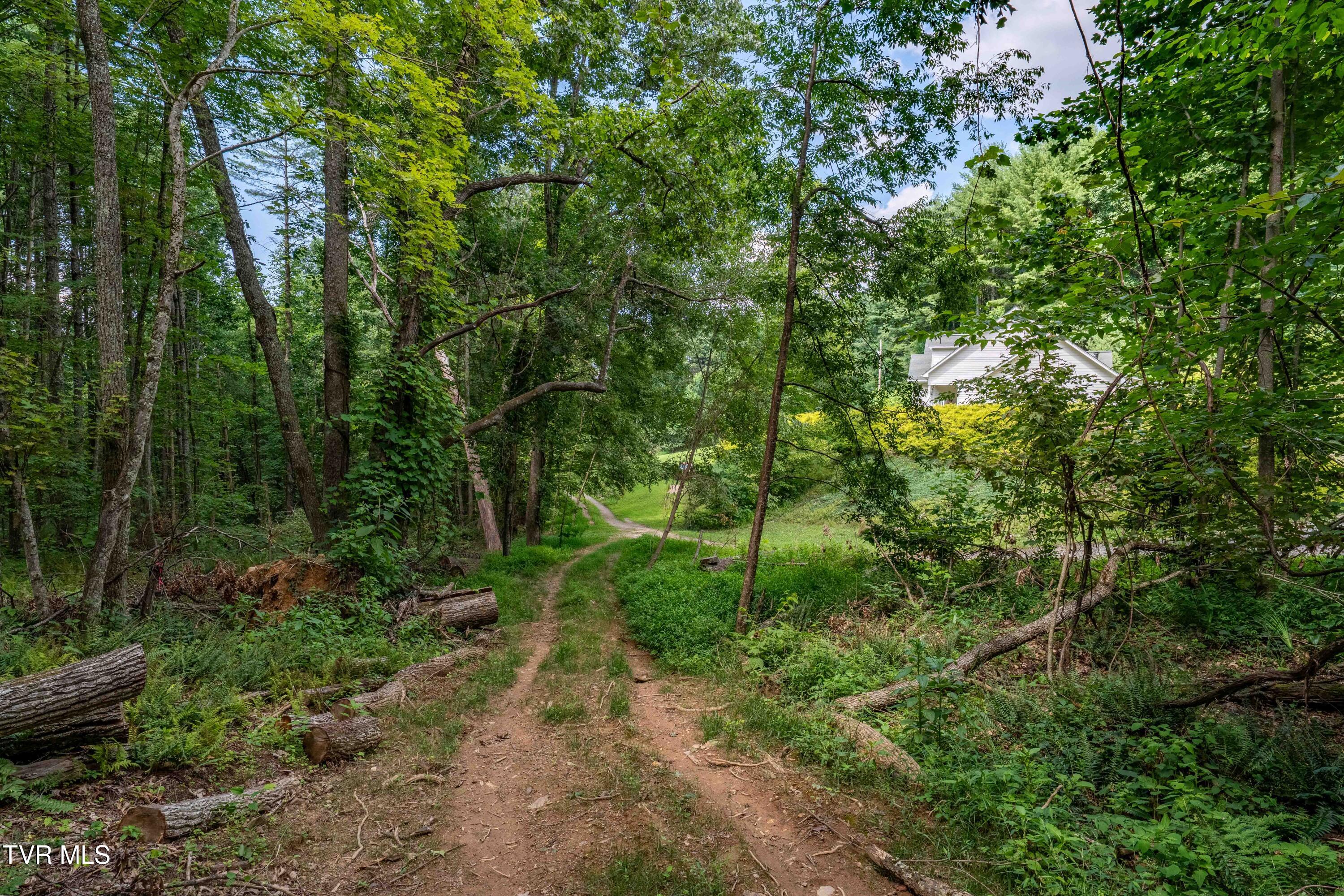 Tbd East Crackers Neck Road, Unit 6 Mountain City, TN 37683 - Photo 21 of 34 TBD Crackers Neck Road (21 of 34)