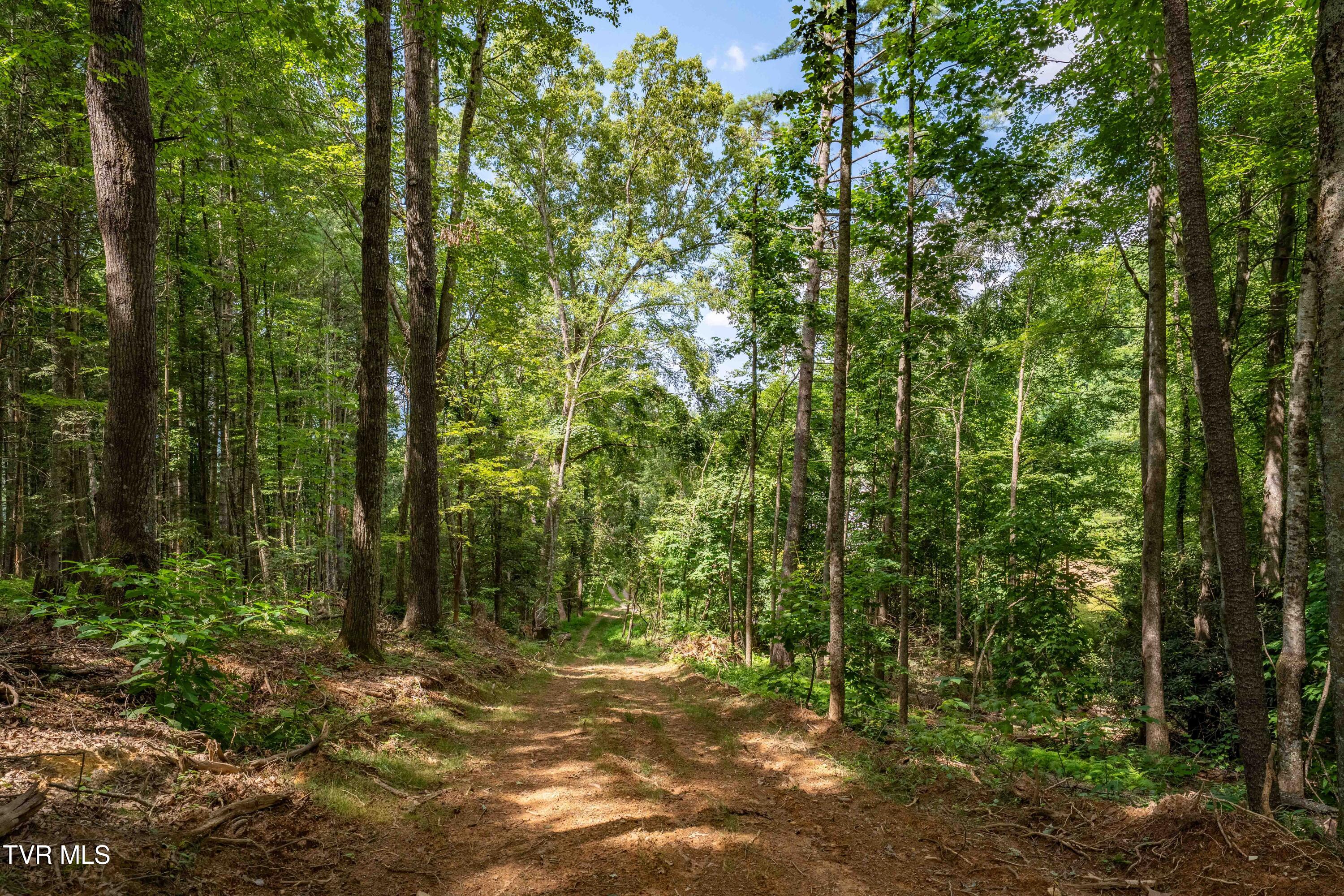 Tbd East Crackers Neck Road, Unit 6 Mountain City, TN 37683 - Photo 22 of 34 TBD Crackers Neck Road (22 of 34)