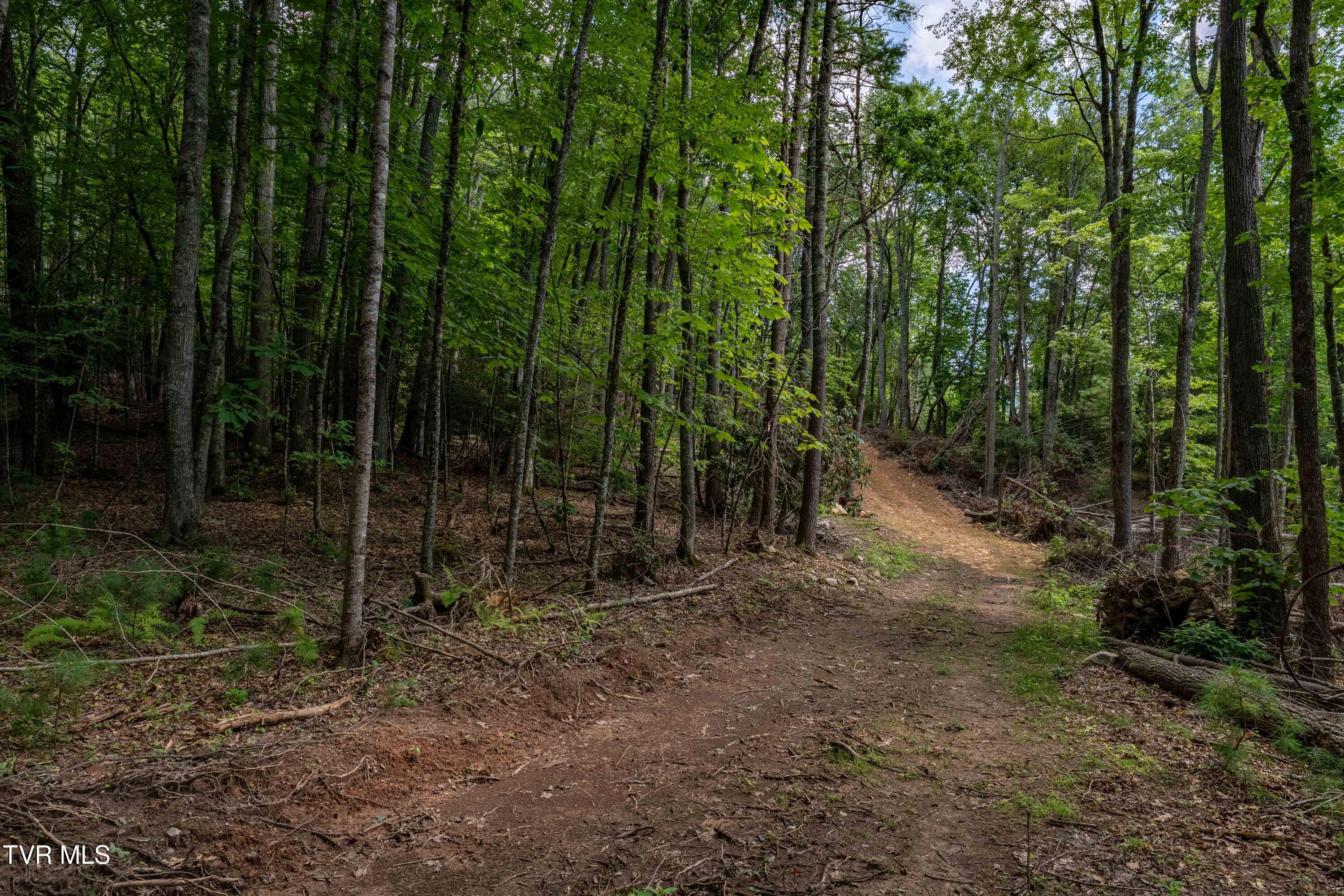 Tbd East Crackers Neck Road, Unit 6 Mountain City, TN 37683 - Photo 23 of 34 TBD Crackers Neck Road (23 of 34)
