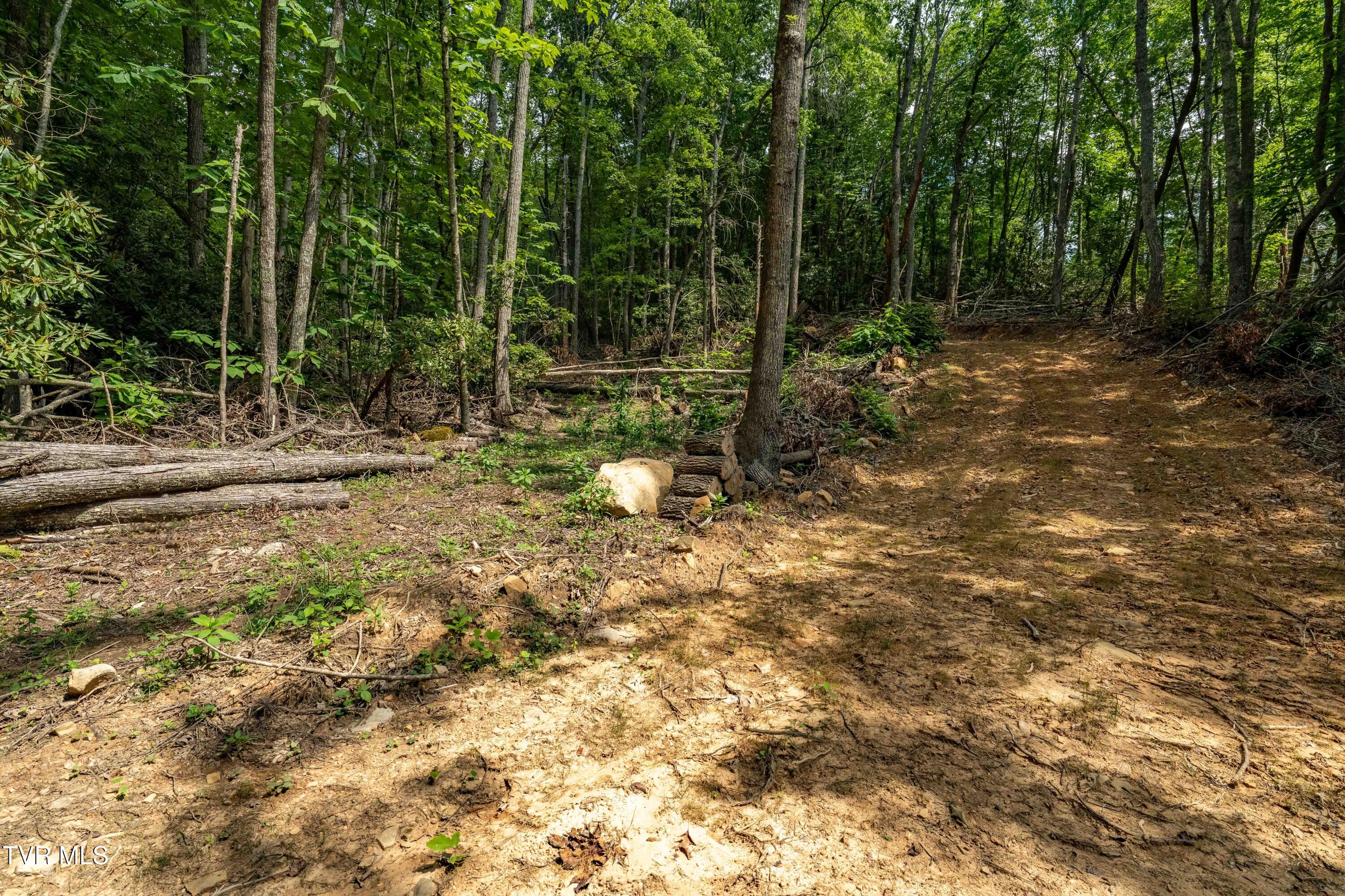 Tbd East Crackers Neck Road, Unit 6 Mountain City, TN 37683 - Photo 24 of 34 TBD Crackers Neck Road (24 of 34)