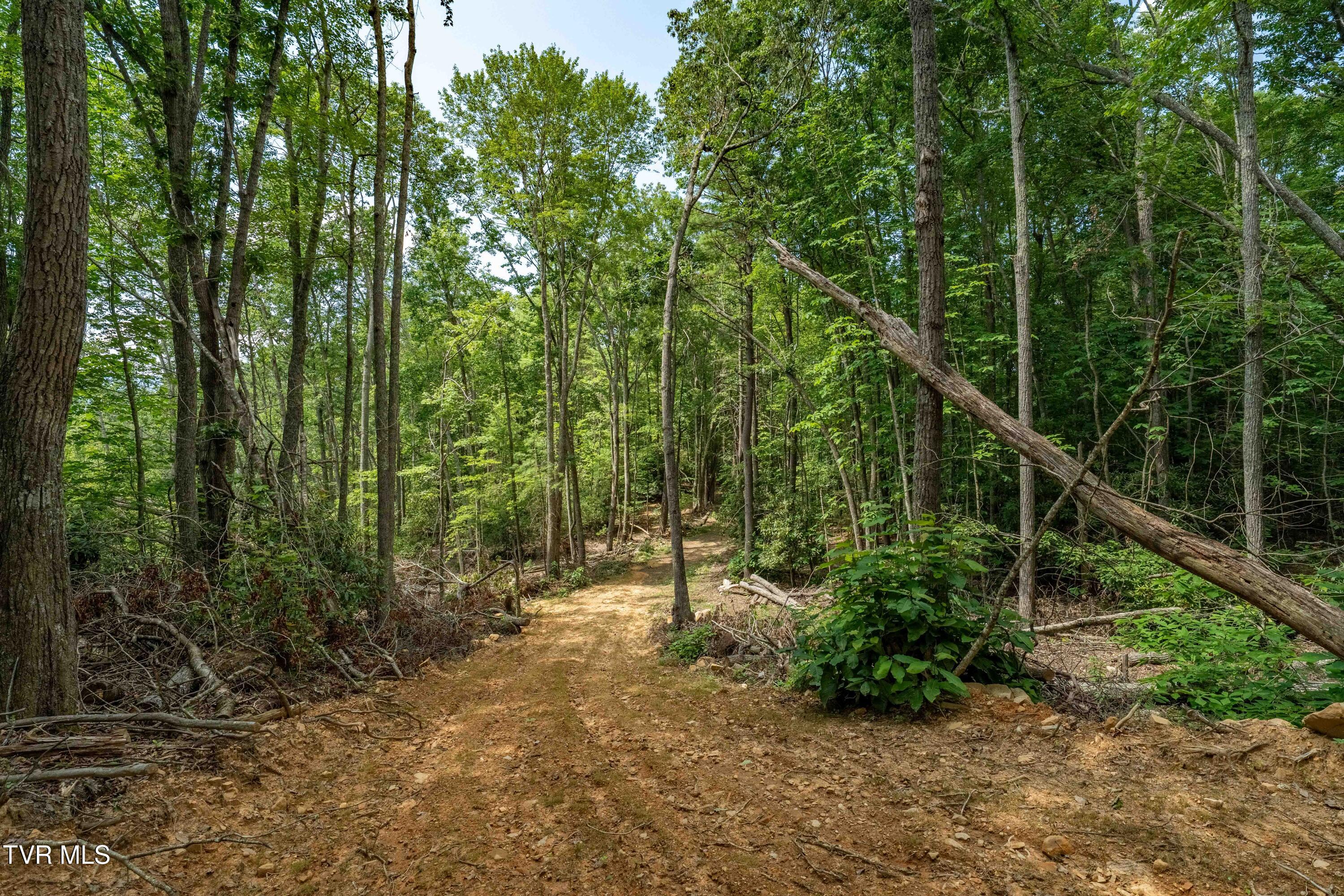 Tbd East Crackers Neck Road, Unit 6 Mountain City, TN 37683 - Photo 25 of 34 TBD Crackers Neck Road (25 of 34)