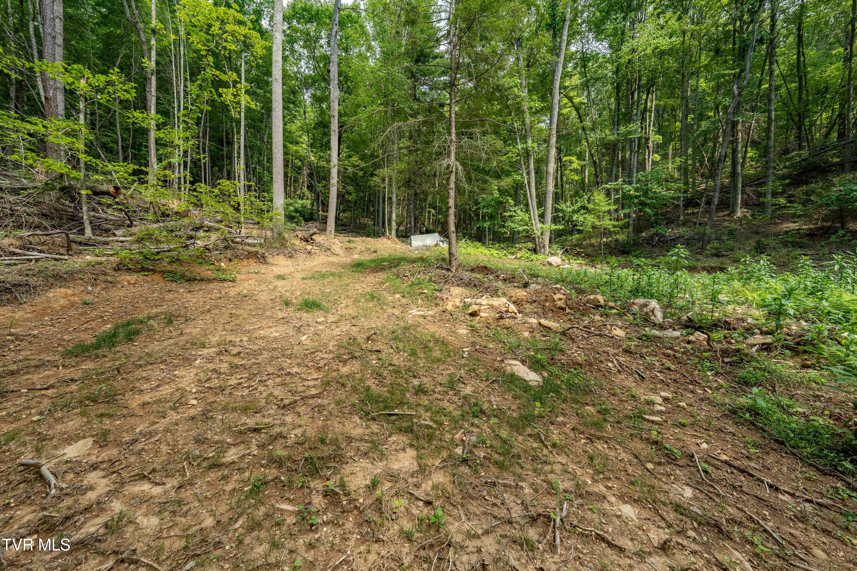 Tbd East Crackers Neck Road, Unit 6 Mountain City, TN 37683 - Photo 28 of 34 TBD Crackers Neck Road (28 of 34)