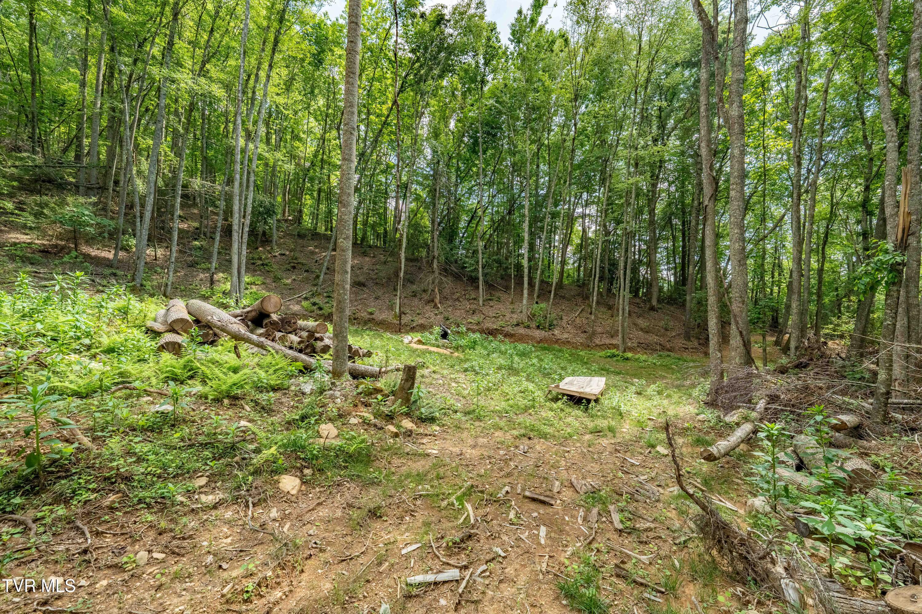 Tbd East Crackers Neck Road, Unit 6 Mountain City, TN 37683 - Photo 29 of 34 TBD Crackers Neck Road (29 of 34)