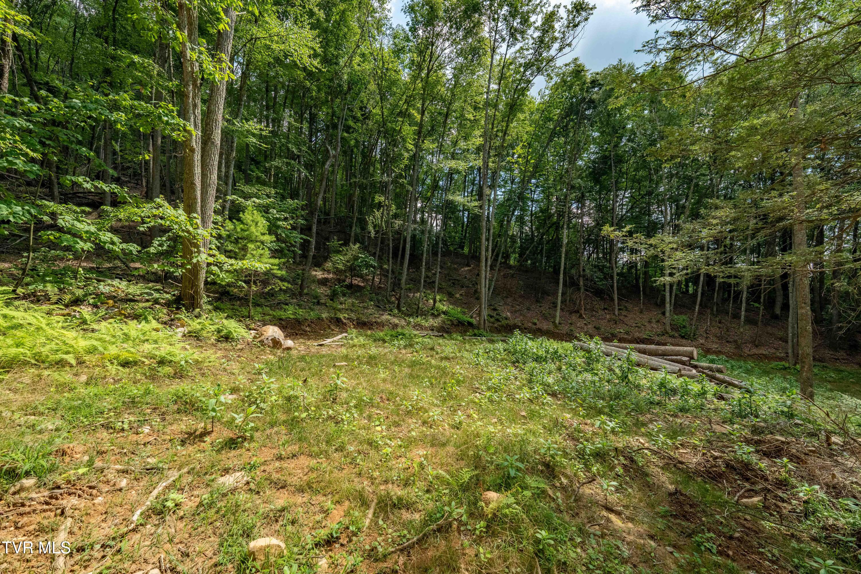 Tbd East Crackers Neck Road, Unit 6 Mountain City, TN 37683 - Photo 30 of 34 TBD Crackers Neck Road (30 of 34)