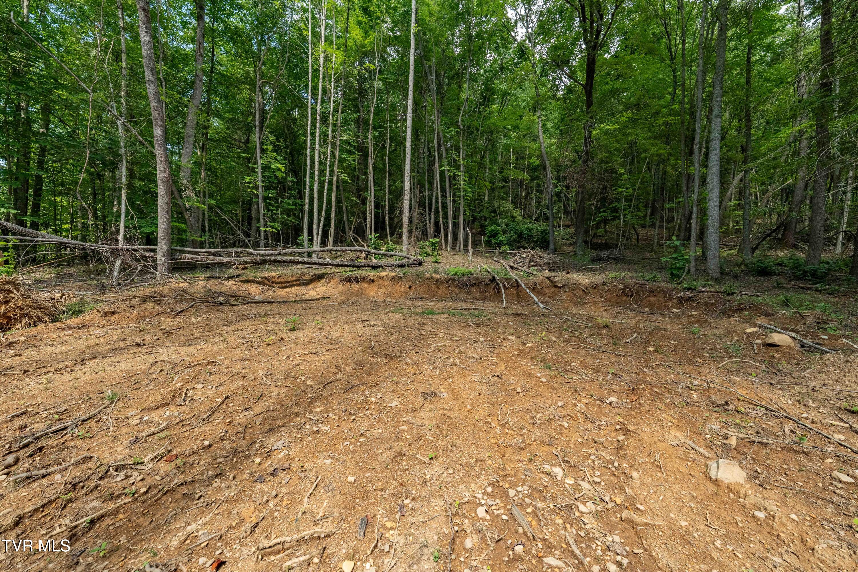 Tbd East Crackers Neck Road, Unit 6 Mountain City, TN 37683 - Photo 31 of 34 TBD Crackers Neck Road (31 of 34)